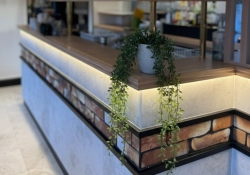 Bayeux- Reine Mathilde- bar- Collin Agencement