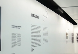 Vue d'ensemble de l'espace Shoah au Mémorial de Caen avec vitrines et murs réalisés sur mesure