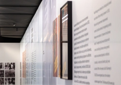 Vue d'ensemble de l'espace Shoah au Mémorial de Caen avec vitrines et murs réalisés sur mesure